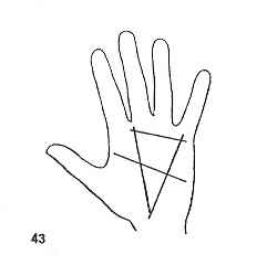 immagine di un quadrilatero formato dalle linee sul palmo della mano