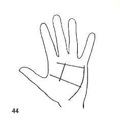 immagine che ritrae le linee sul palmo di una mano che formano un quadrato