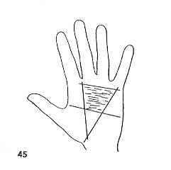 immagine di un quadrilatero sul palmo della mano solcato da numerose linee