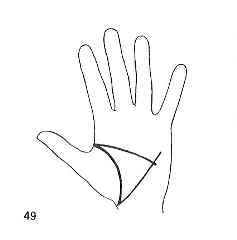 immagine del palmo di una mano in cui le linee prendono la forma di un triangolo
