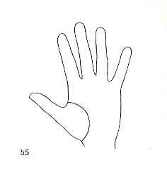 immagine che raffigura la linea della vita sul palmo della mano