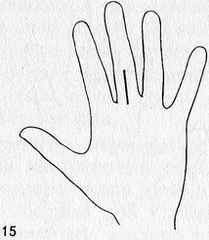 immagine di una mano in cui è evidenziato il dito medio